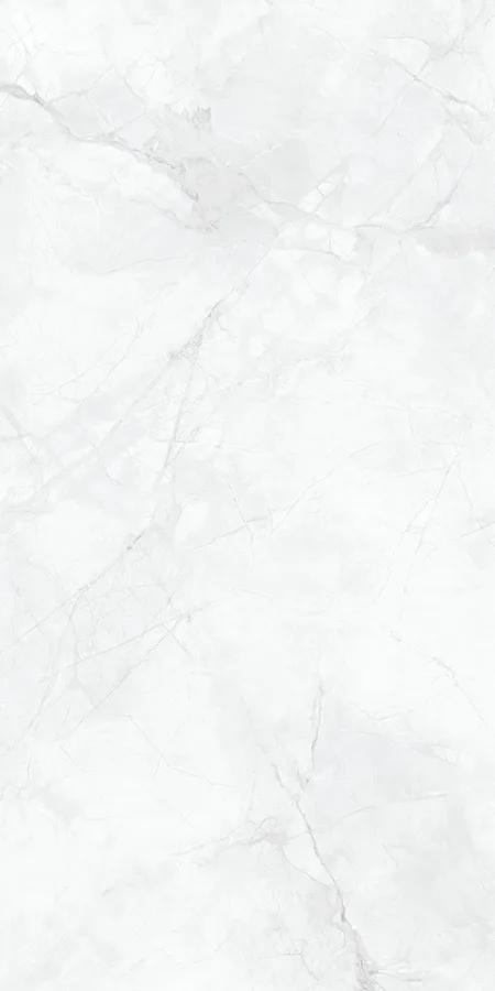 Керамогранит MONALISA FMC10802M